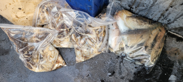 예지퀸호 농어외수질&어초낚시 경기인천권_사진_20251030_12.jpg