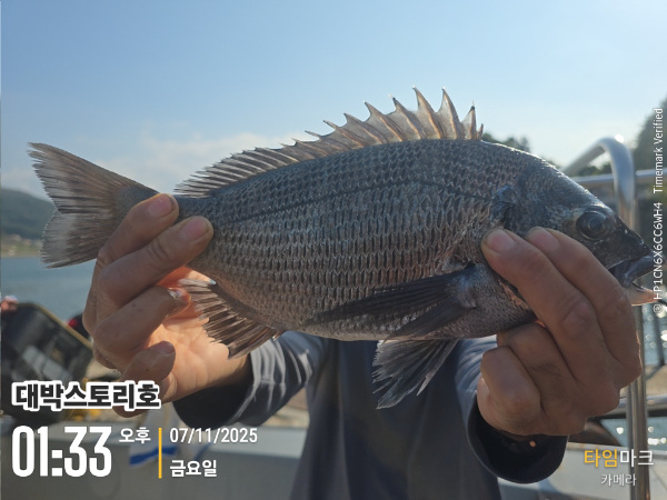 2025-11-07 01.33.24__(대박스토리호).jpg