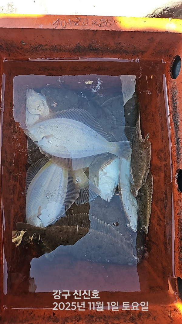 신신낚시 강구점 신신호_사진_20251101_2.jpg