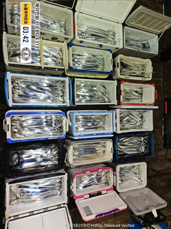 2025-11-30 03.42.04_Japan_(제목-뉴블루마린호)_(예약전화 010 8924 3131).jpg