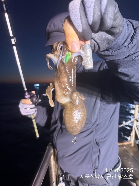 군산 선상낚시, 바다낚시 출조 전문 ☆서군산낚시☆_사진_20251114_16.jpg