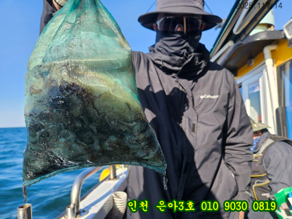 11월14 3호 (9).jpg