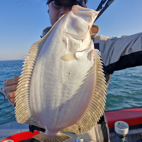 인천바다낚시 (6).jpg