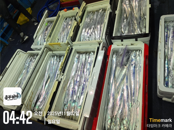 2025-11-02 04.42.27_.jpg