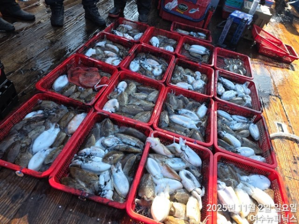 11월2일갑오징어 (43).jpg