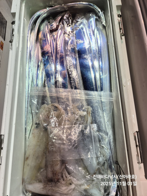 바다꾼낚시(신아라호)_사진_20251101_12.jpg