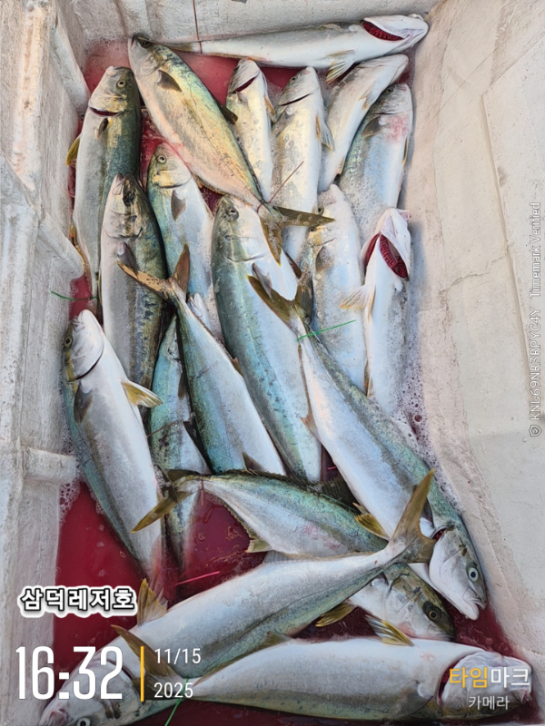 2025-11-15 16.32.12_.jpg