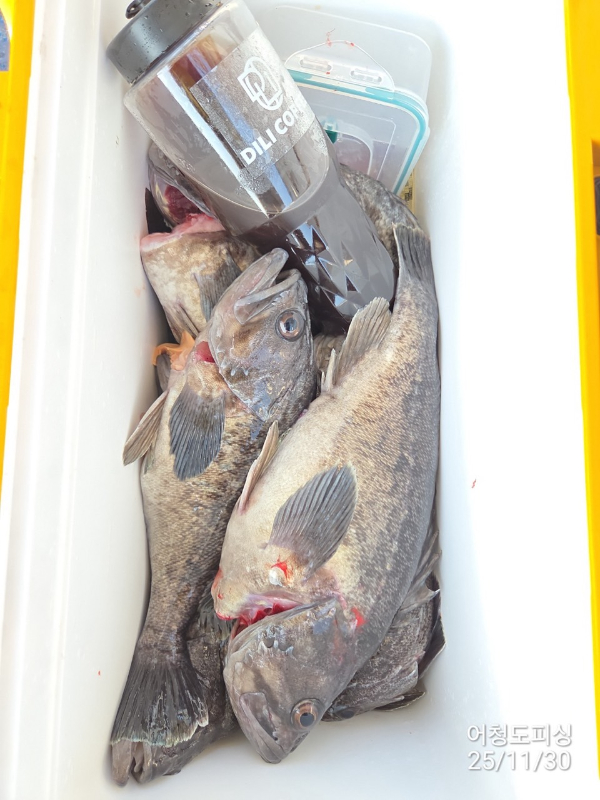 최강피싱 063.463.0800_사진_20251130_33.jpg