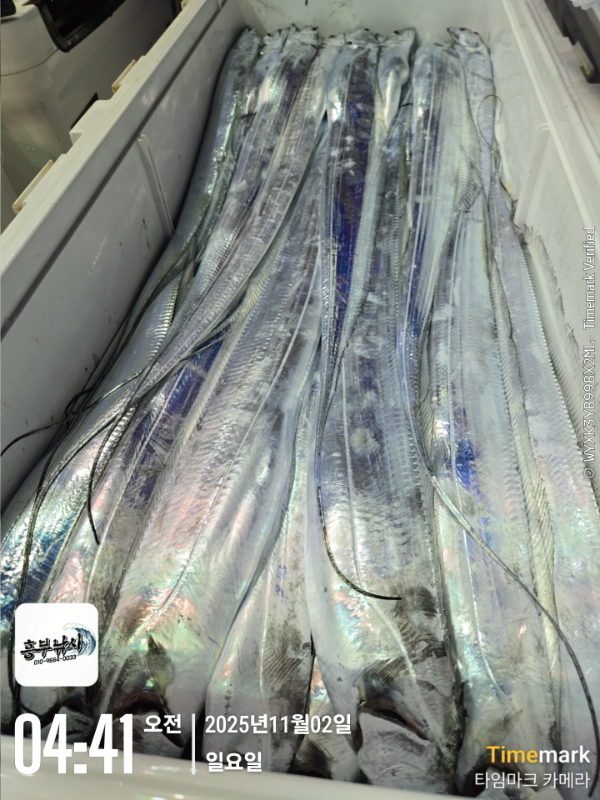 2025-11-02 04.41.25_.jpg