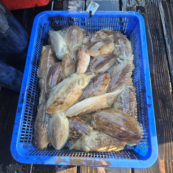 마검포 대한호(VIP)_사진_20251112_4.jpg