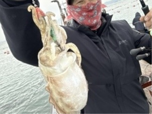 20911월8일갑오징어 (15).jpg