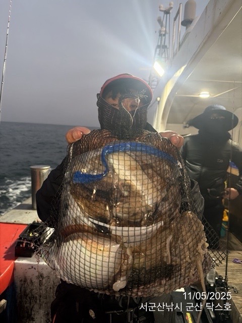 군산 선상낚시, 바다낚시 출조 전문 ☆서군산낚시☆_사진_20251105_5.jpg