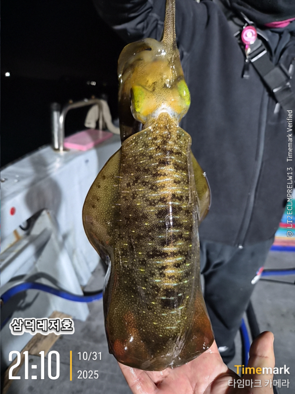 2025-10-31 21.10.55_.jpg