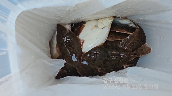 신신낚시 강구점 신신호_사진_20251123_13.jpg