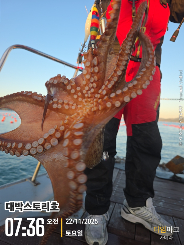 2025-11-22 07.36.14__(대박스토리호).jpg