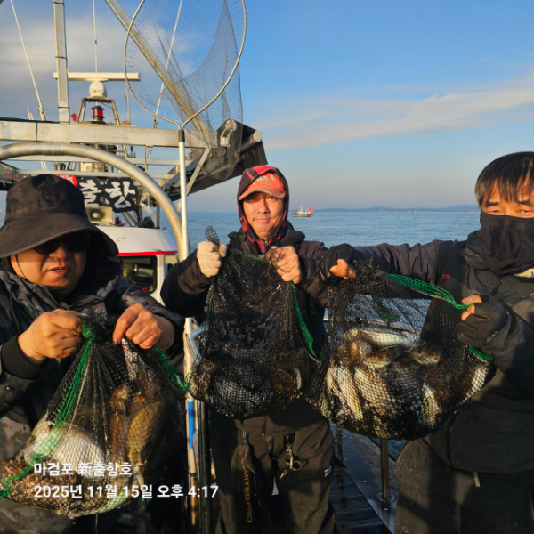 ꫛꫀꪝ✧‧˚ 태안 마검포 新출항호 .• _˚☀₊_사진_20251115_2.jpg