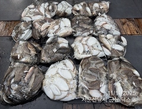 군산 선상낚시, 바다낚시 출조 전문 ☆서군산낚시☆_사진_20251111_1.jpg