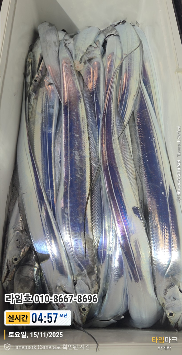 2025-11-15 04.57.28__(제목-실시간)_(라임호 010-8667-8696).jpg