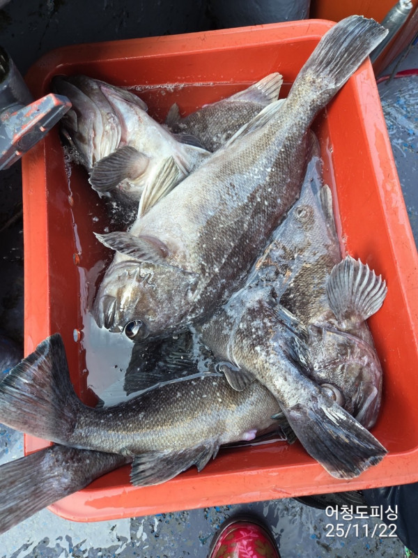 최강피싱 063.463.0800_사진_20251122_40 - 복사본.jpg