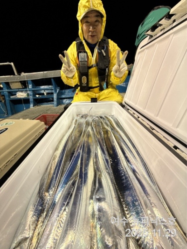 20911월29일갈치 (12).jpg