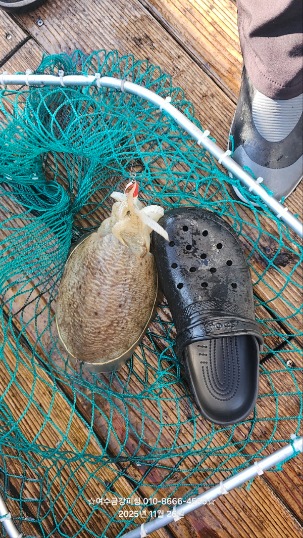 여수금강피싱_사진_20251126_21.jpg