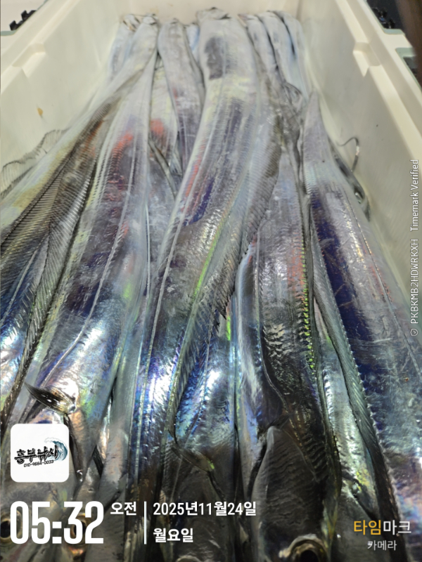 2025-11-24 05.32.42_.jpg