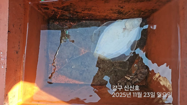 신신낚시 강구점 신신호_사진_20251123_7.jpg