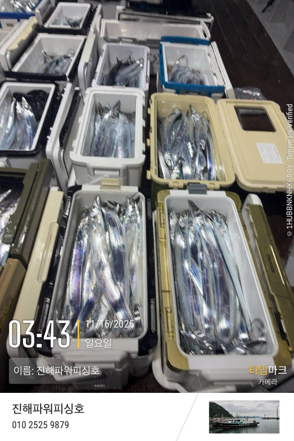 2025-11-16 03.43.55_(이름-진해파워피싱호).jpeg