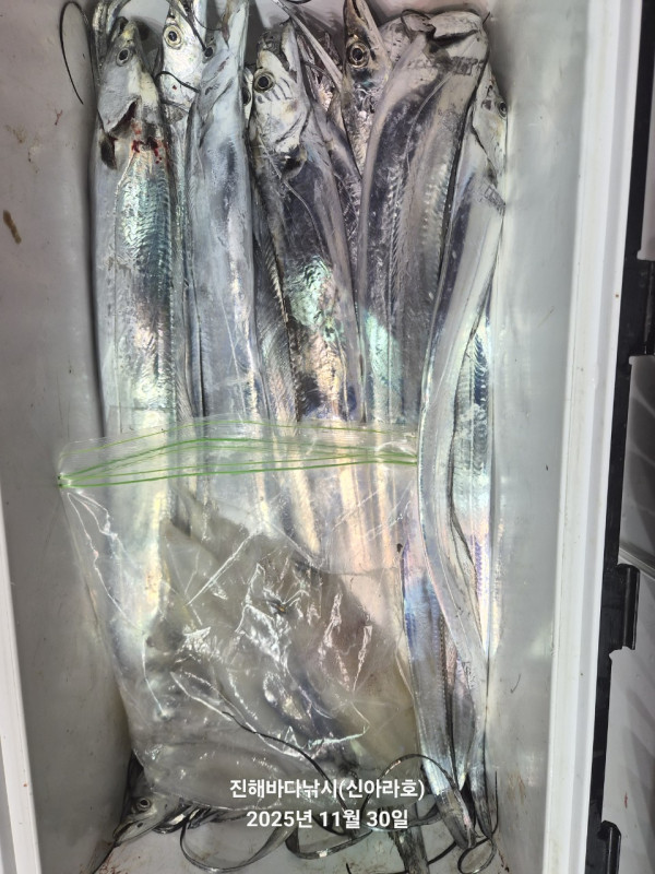 바다꾼낚시(신아라호)_사진_20251130_8.jpg