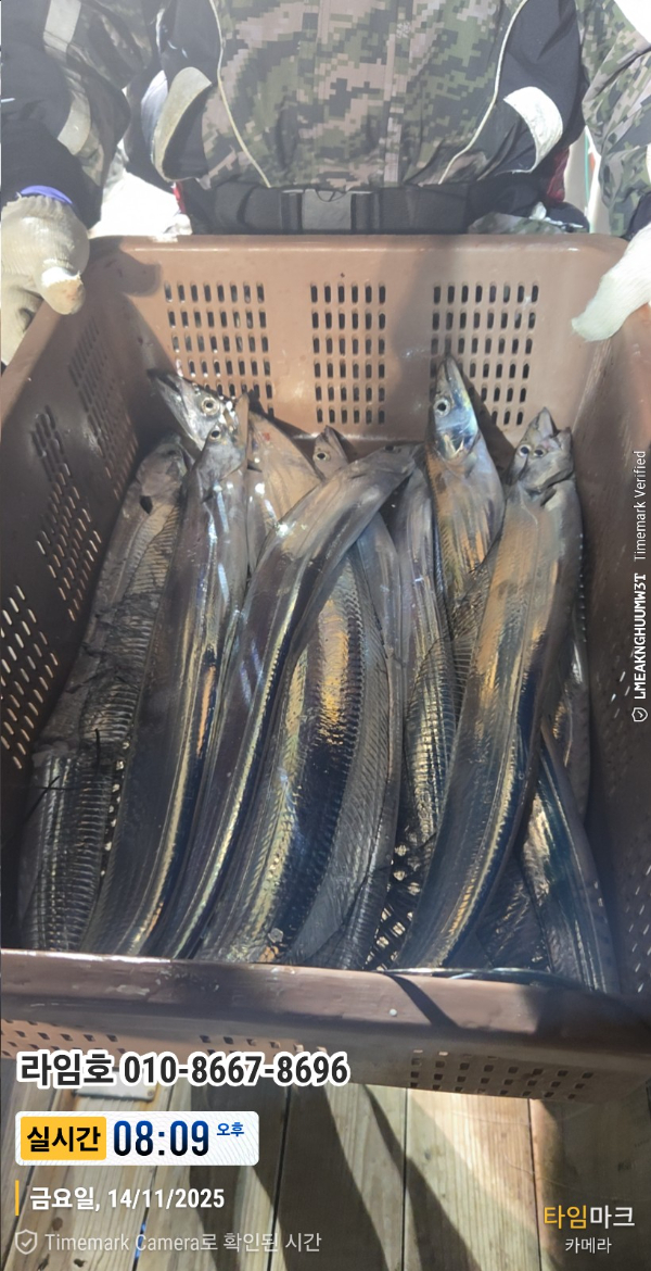 2025-11-14 08.09.30__(제목-실시간)_(라임호 010-8667-8696).jpg