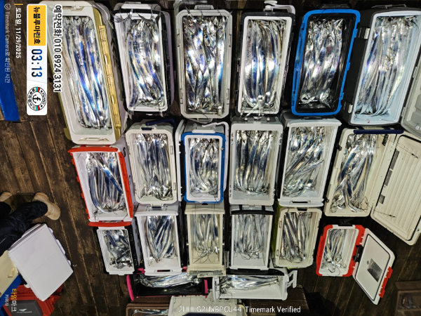 2025-11-29 03.13.24__(제목-뉴블루마린호)_(예약전화 010 8924 3131).jpg