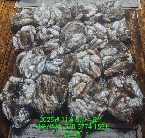 군산 선상낚시, 바다낚시 출조 전문 ☆서군산낚시☆_사진_20251105_3.jpg