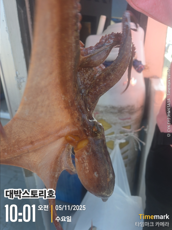 2025-11-05 10.01.54__(대박스토리호).jpg