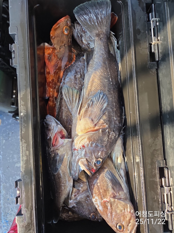 최강피싱 063.463.0800_사진_20251122_45 - 복사본.jpg