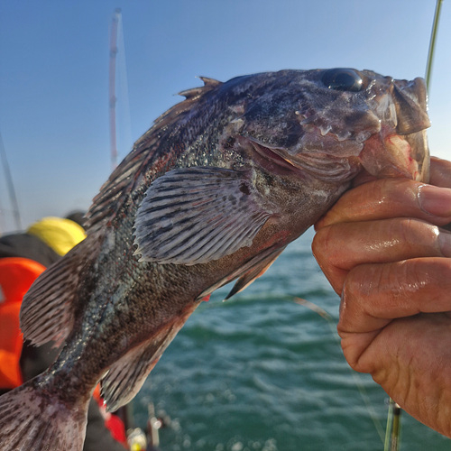 인천배낚시 (15).jpg