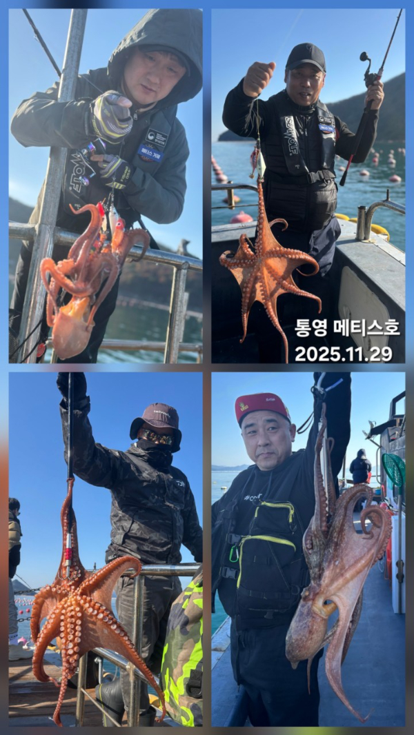 통영 메티스호_사진_20251129_6.jpg