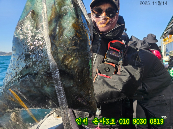 11월14 3호 (11).jpg