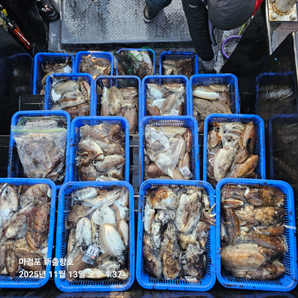 ꫛꫀꪝ✧‧˚ 태안 마검포 新출항호 .• _˚☀₊_사진_20251113_7.jpg