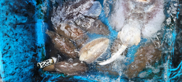 예지퀸호 농어외수질&어초낚시 경기인천권_사진_20251029_5.jpg