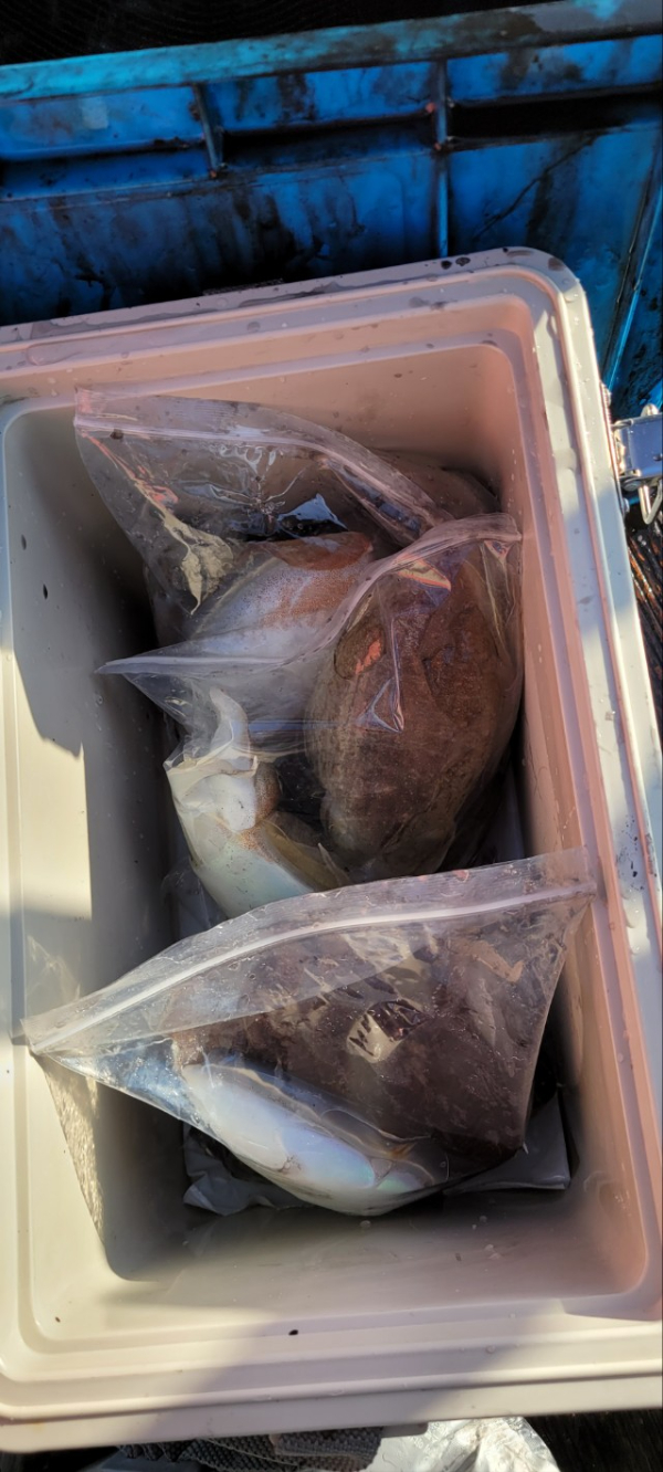 예지퀸호 농어외수질&어초낚시 경기인천권_사진_20251113_13.jpg