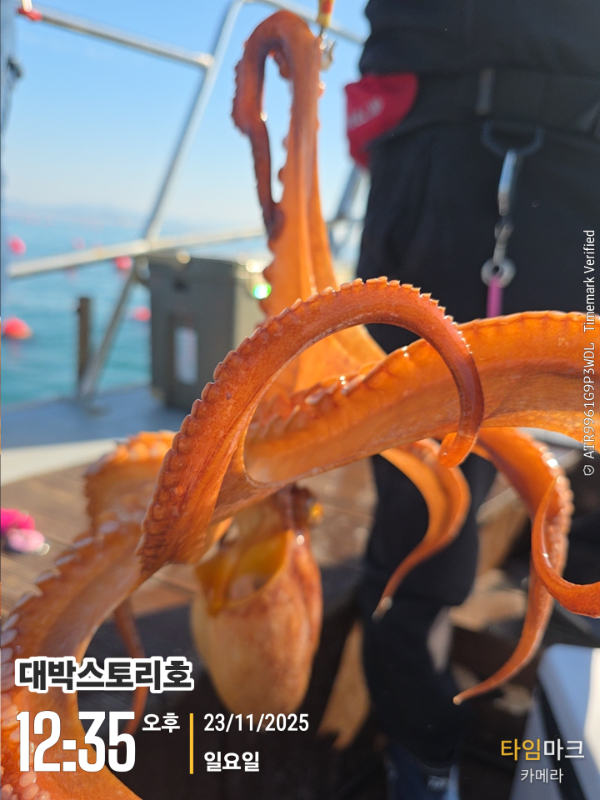2025-11-23 12.35.43__(대박스토리호).jpg