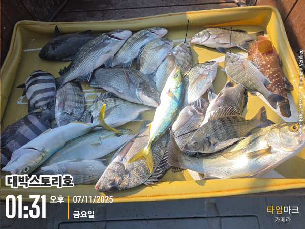 2025-11-07 01.31.11__(대박스토리호).jpg