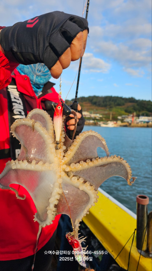 여수금강피싱_사진_20251110_1.jpg