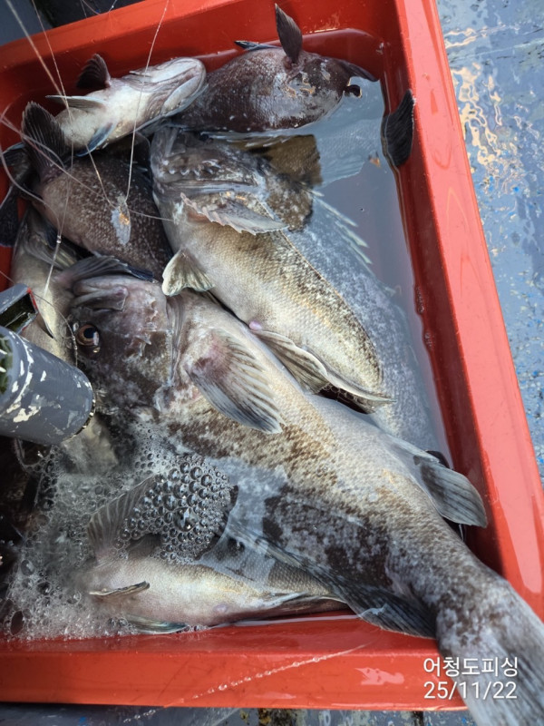 최강피싱 063.463.0800_사진_20251122_33 - 복사본.jpg