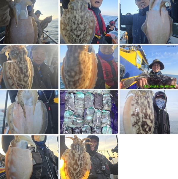 11월15 썬 (1)-tile.jpg