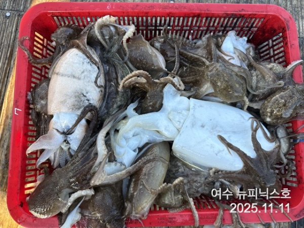 11월11일왕쭈 (16).jpg