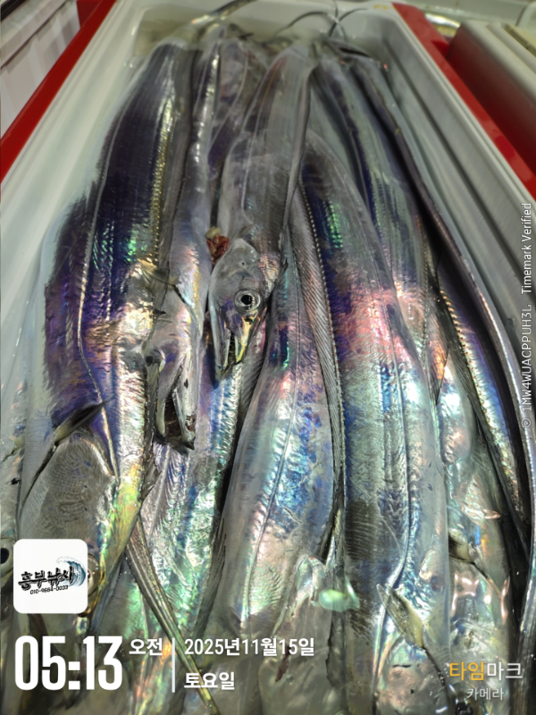 2025-11-15 05.13.38_.jpg