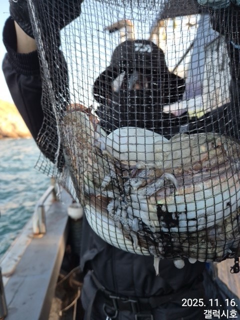 군산 선상낚시, 바다낚시 출조 전문 ☆서군산낚시☆_사진_20251116_4.jpg