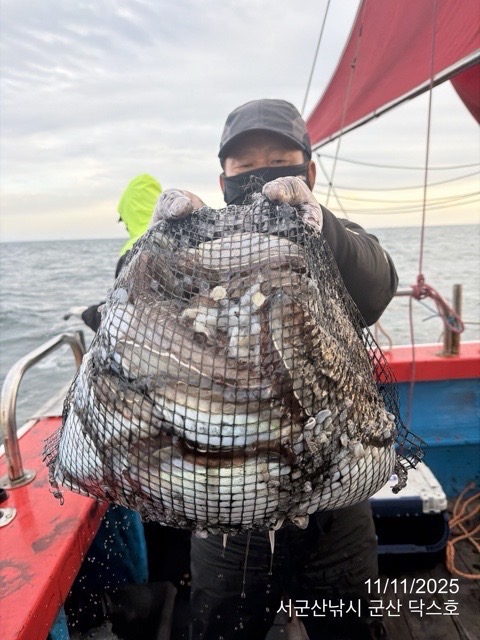 군산 선상낚시, 바다낚시 출조 전문 ☆서군산낚시☆_사진_20251111_4.jpg