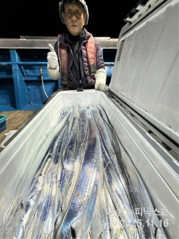 20911월16일갈치 (19).jpg